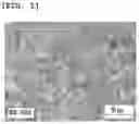 Fig. 02 - Filter comprising a coating layer of flake-like powders and a preparation method thereof