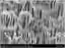 Fig. 01 - PREPARATION METHOD OF HIGH-PERFORMANCE MABR HOLLOW FIBER COMPOSITE MEMBRANE
