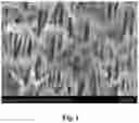 Fig. 02 - PREPARATION METHOD OF HIGH-PERFORMANCE MABR HOLLOW FIBER COMPOSITE MEMBRANE