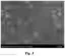 Fig. 04 - PREPARATION METHOD OF HIGH-PERFORMANCE MABR HOLLOW FIBER COMPOSITE MEMBRANE