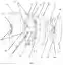 Fig. 03 - Highly integrated high-performance robot joint unit