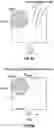 Fig. 10 - Systems, methods, and apparatus for detection of metal objects in a predetermined space