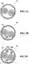 Fig. 03 - SMART CHARGING CABLE