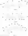 Fig. 08 - Multi-layer bladder construct