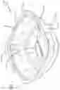 Fig. 02 - VENTILATED CONTAINER FOR PRODUCE