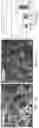Fig. 02 - Aerobic granular sludge in continuous flow reactors