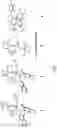 Fig. 02 - Highly efficient synthesis of Z-macrocycles using stereoretentive, ruthenium-based metathesis catalysts