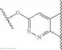 Fig. 166 - Cyclic compounds as receptor modulating therapeutics and methods and uses thereof
