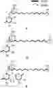Fig. 01 - Rhamnolipid compounds and use thereof