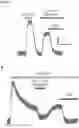 Fig. 03 - ANALGESICS AND METHODS OF USE THEREOF