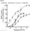 Fig. 04 - ANALGESICS AND METHODS OF USE THEREOF