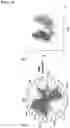 Fig. 22 - ANALGESICS AND METHODS OF USE THEREOF