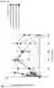 Fig. 28 - ANALGESICS AND METHODS OF USE THEREOF