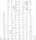 Fig. 07 - Anti-C-KIT antibody