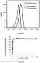 Fig. 03 - METHODS AND SYSTEMS FOR CONTROLLING THE AGONISTIC PROPERTIES OF ANTIBODY VARIABLE DOMAINS BY LIGHT