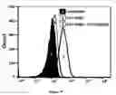 Fig. 04 - METHODS AND SYSTEMS FOR CONTROLLING THE AGONISTIC PROPERTIES OF ANTIBODY VARIABLE DOMAINS BY LIGHT