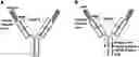 Fig. 01 - CONDITIONALLY ACTIVATED TARGET-BINDING MOLECULES