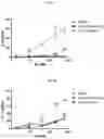 Fig. 08 - ANTIBODIES SPECIFIC TO CTLA-4 AND USES THEREOF