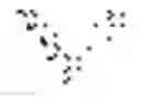 Fig. 49 - Antigen-Binding Polypeptide Constructs Comprising Kappa and Lambda Light Chains and Uses Thereof