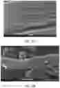 Fig. 02 - MODIFIED NANOCELLULOSIC MATERIALS FOR CARBON DIOXIDE MITIGATION TECHNOLOGY