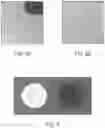 Fig. 06 - Coated aerogels