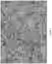 Fig. 03 - Coating Composition for Thermal Protection on Substrates, Processes for Manufacturing, and Methods of Applying Same