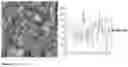Fig. 04 - COATINGS