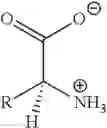 Fig. 02 - Use of zwitterion dopant in preparation of dynamic-scattering-mode-based liquid crystal material