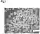 Fig. 07 - CELL CULTURE SUBSTRATE, METHOD FOR PRODUCING CELL CULTURE SUBSTRATE, AND METHOD FOR PRODUCING SPHEROIDS