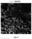 Fig. 06 - Method for preparing 3D brain organoids