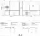 Fig. 03 - Kit containing medium for culturing natural killer cells and method of effectively culturing natural killer cells using the same