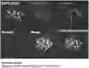 Fig. 01 - METHODS OF ISLET CELL CULTURE