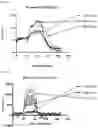 Fig. 05 - METHODS OF ISLET CELL CULTURE