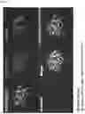 Fig. 06 - METHODS OF ISLET CELL CULTURE