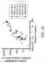 Fig. 08 - Engineered CRISPR-Cas9 Nucleases