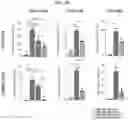 Fig. 32 - OPTIMIZED BASE EDITORS ENABLE EFFICIENT EDITING IN CELLS, ORGANOIDS AND MICE
