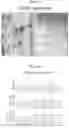 Fig. 41 - OPTIMIZED BASE EDITORS ENABLE EFFICIENT EDITING IN CELLS, ORGANOIDS AND MICE