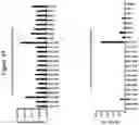 Fig. 40 - AAV CAPSID PROTEINS FOR NUCLEIC ACID TRANSFER