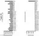 Fig. 43 - AAV CAPSID PROTEINS FOR NUCLEIC ACID TRANSFER
