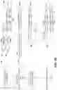 Fig. 07 - Primers for immune repertoire profiling