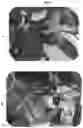 Fig. 08 - Plant Vectors, Compositions and Uses Relating Thereto