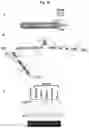 Fig. 20 - Plant Vectors, Compositions and Uses Relating Thereto