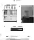 Fig. 23 - Plant Vectors, Compositions and Uses Relating Thereto