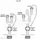 Fig. 35 - Plant Vectors, Compositions and Uses Relating Thereto