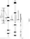 Fig. 07 - MATERIALS AND METHODS FOR THE CORRECTION OF RETINITIS PIGMENTOSA