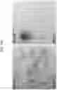 Fig. 167 - COMPOSITIONS AND METHODS FOR MANUFACTURING GENE THERAPY VECTORS
