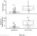 Fig. 06 - METHODS AND MATERIALS FOR ASSESSING AND TREATING CANCER