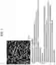 Fig. 02 - Steel sheet and method for producing the same