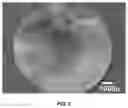 Fig. 08 - Corrosion-resistant CuZn alloy