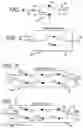 Fig. 03 - LED lighting system and installation methods